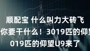 顺配宝 什么叫力大砖飞，比亚迪你要干什么！3019匹的仰望U9来了