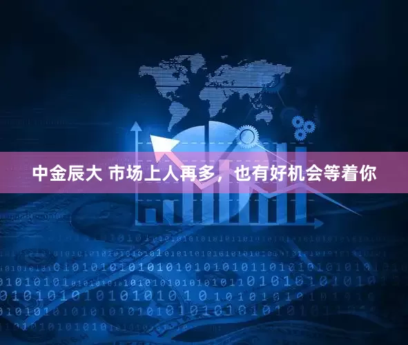 中金辰大 市场上人再多，也有好机会等着你